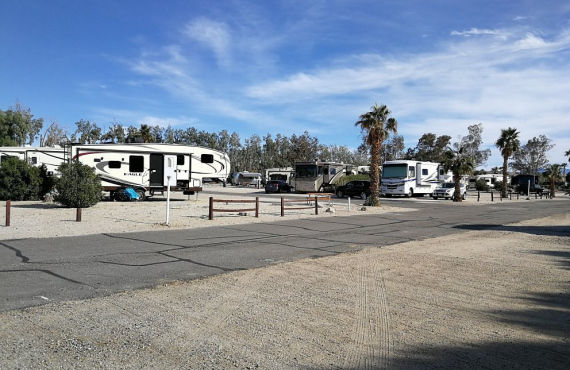 Palm Springs Joshua Tree KOA Campground Rates Photos Reviews