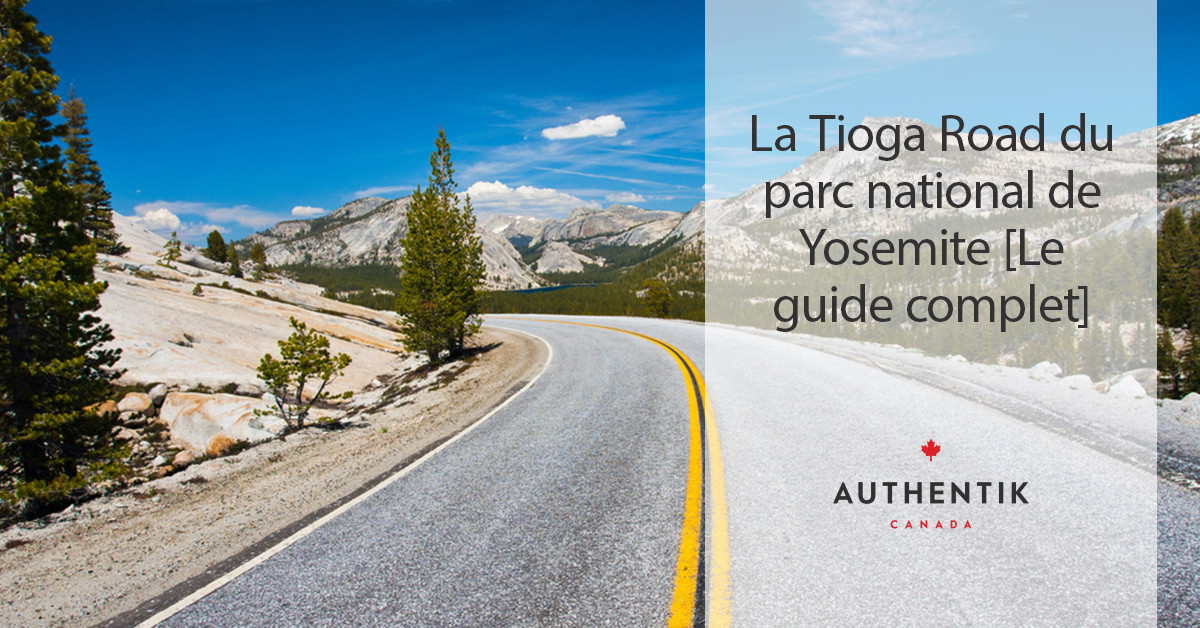 La Tioga Road du parc national de Yosemite [Le guide complet]