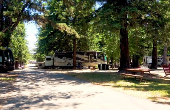 San Francisco Petaluma KOA Campground - Sonoma