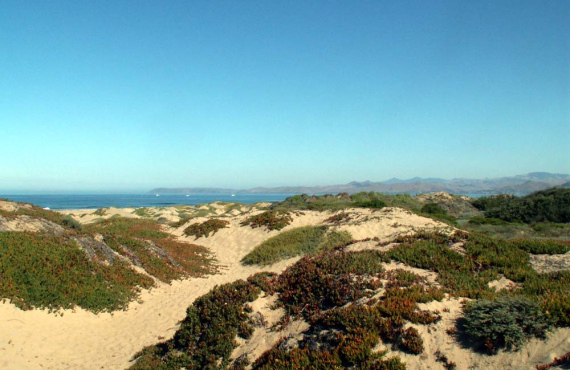 Morro Dunes RV Park - Morro Bay : Rates, photos and reviews